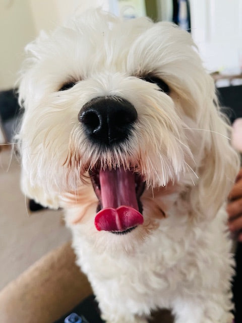 What's been going on at Townsend Draft Goods? May 4