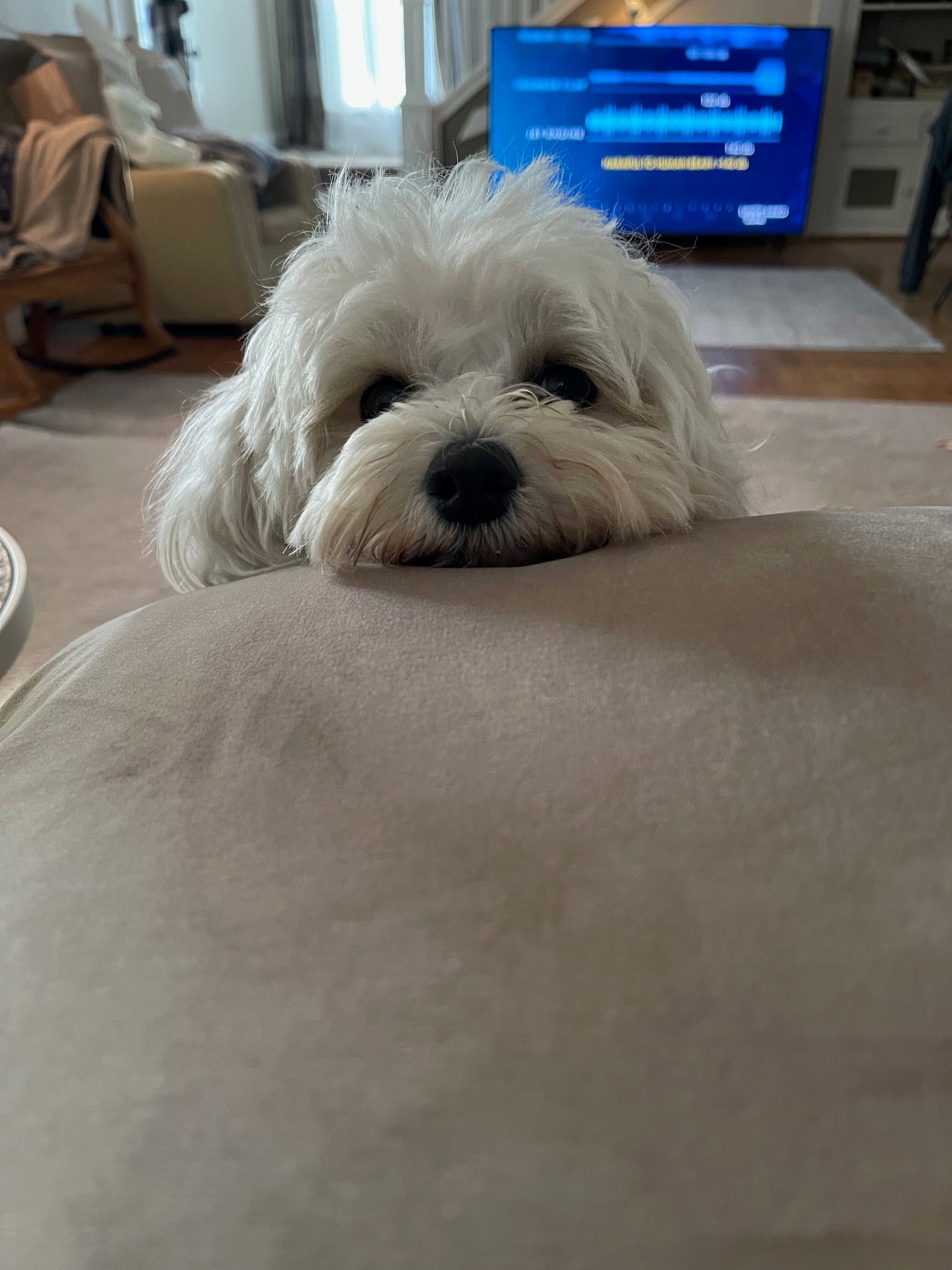 What's been happening at Townsend Draft Goods? August 2025 Update