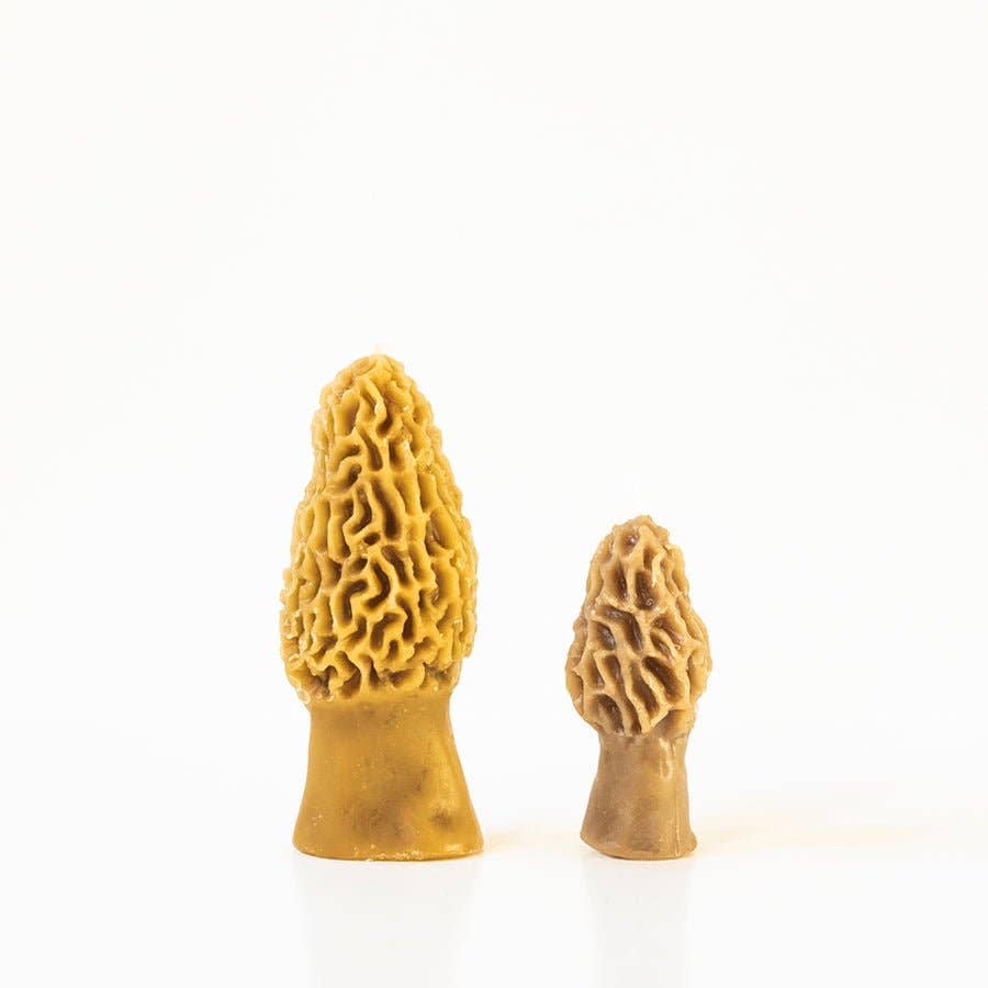 Morel Mushroom Beeswax Candle (2-pack)