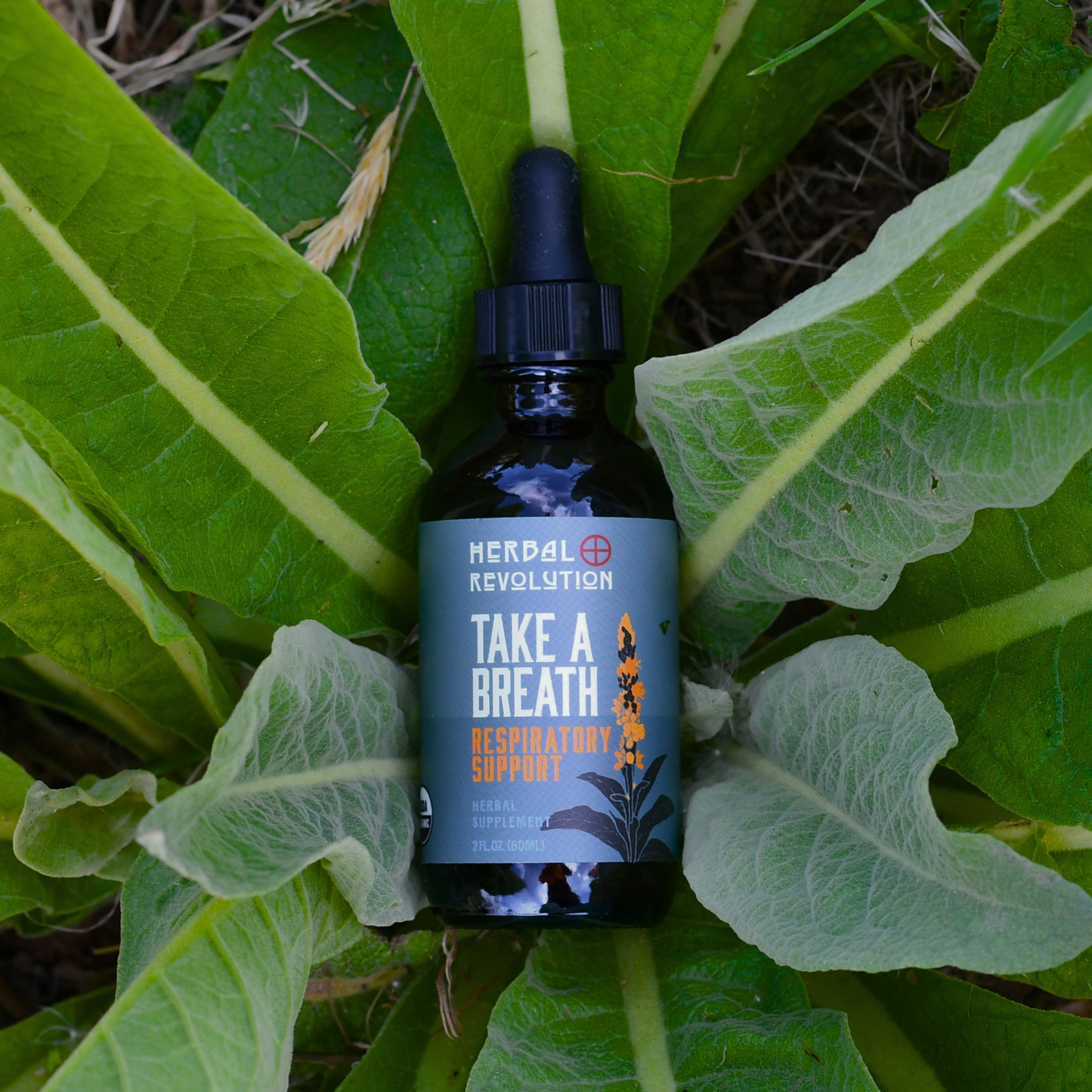Take a Breath: Respiratory Support Elixir (Organic)