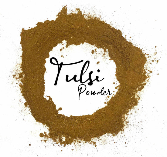 Tulsi Powder - Organic (3.6 oz Jar)