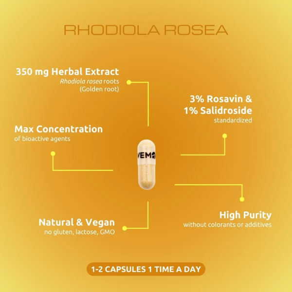 Rhodiola Rosea Root Capsules (90 caps)