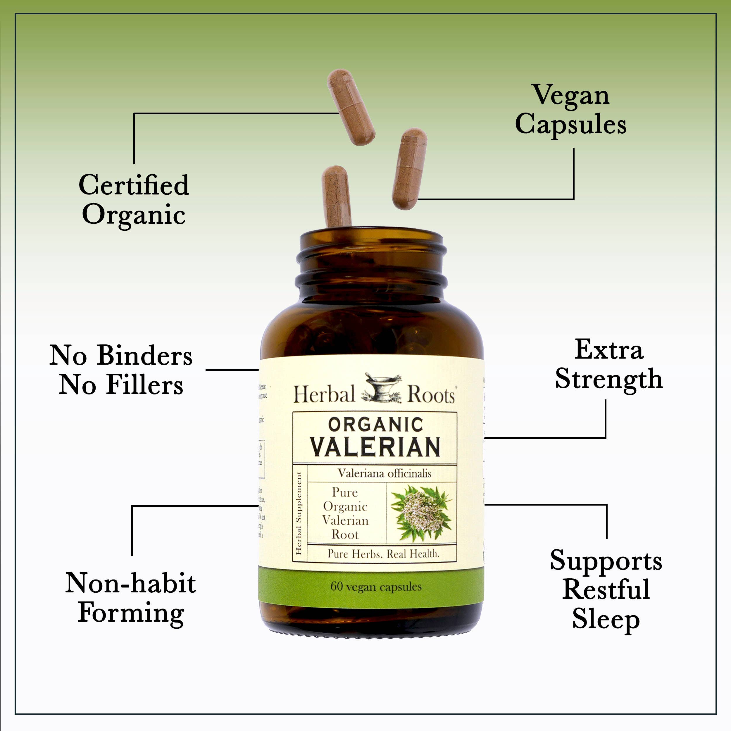 Valerian Root Capsules (Organic)