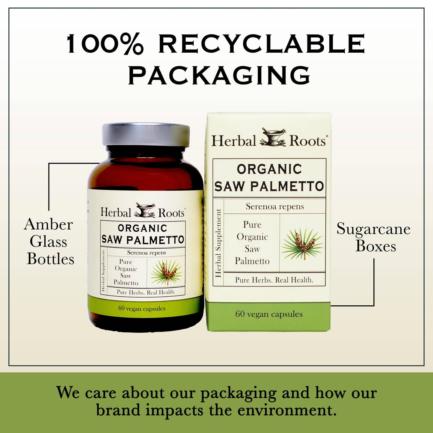 Saw Palmetto Capsules (Organic)