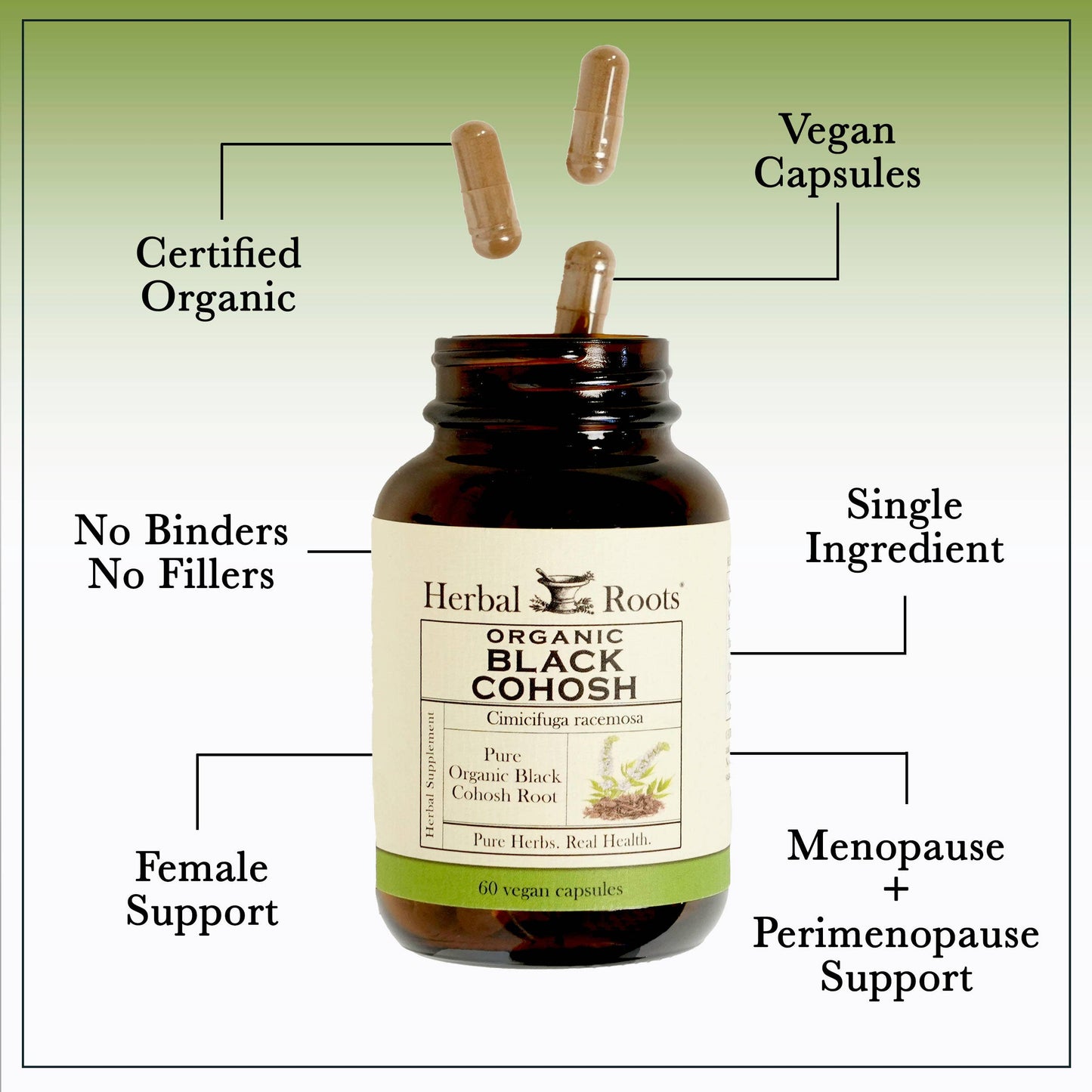Black Cohosh Root Capsules (Organic)