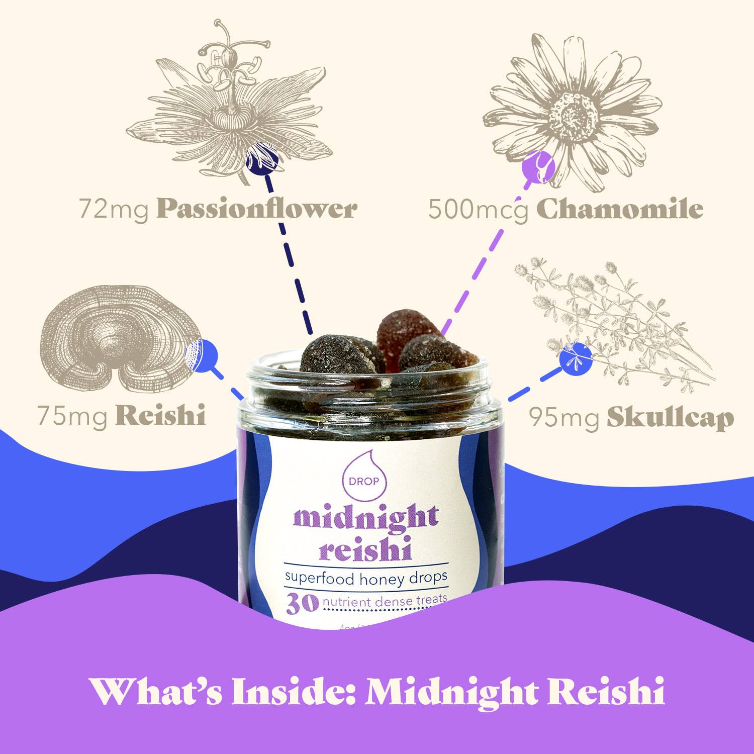 Midnight Reishi | Mushroom Honey Gummy | Sleep & Relaxation