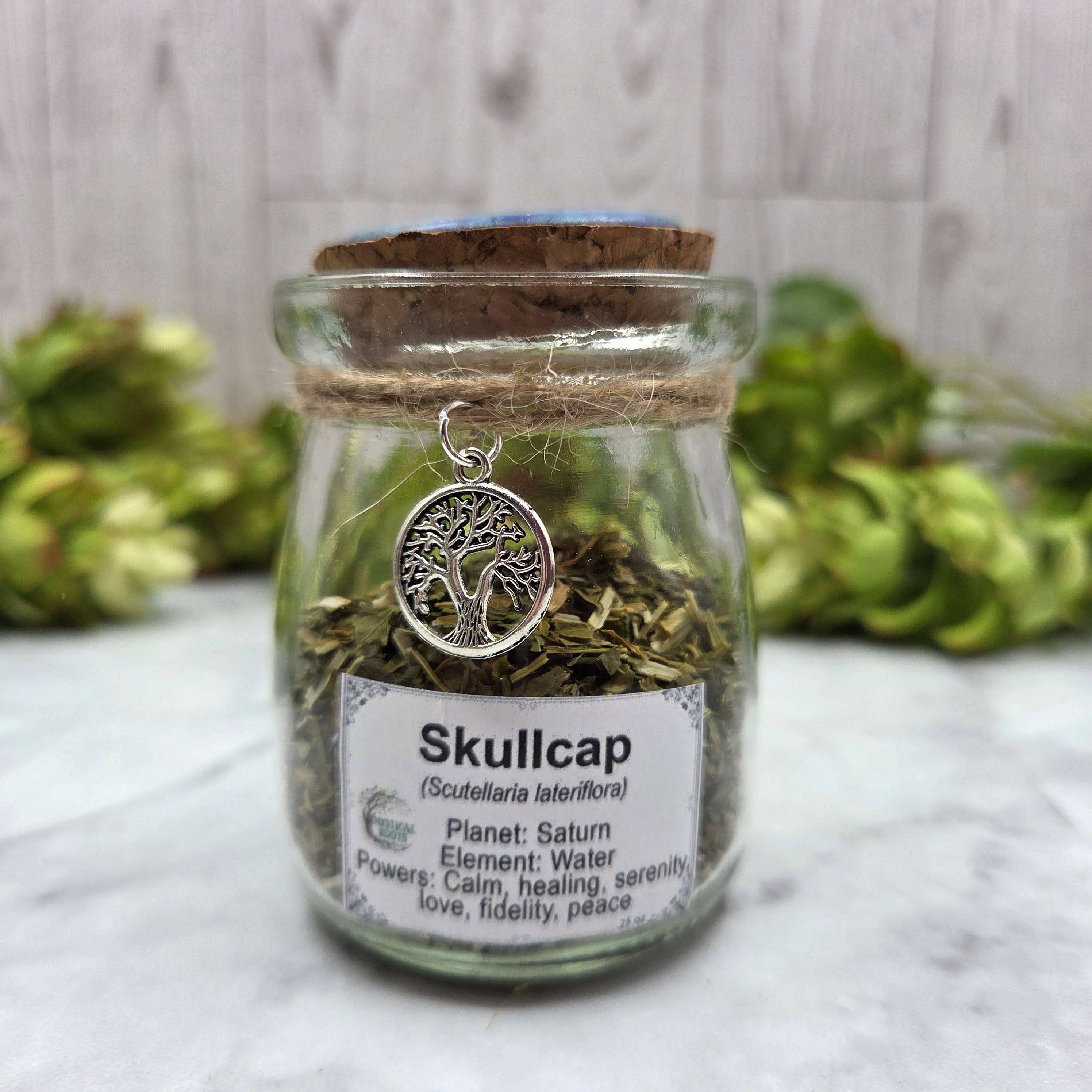 Dried Skullcap in Apothecary Herb Jar w/Tree of Life Charm