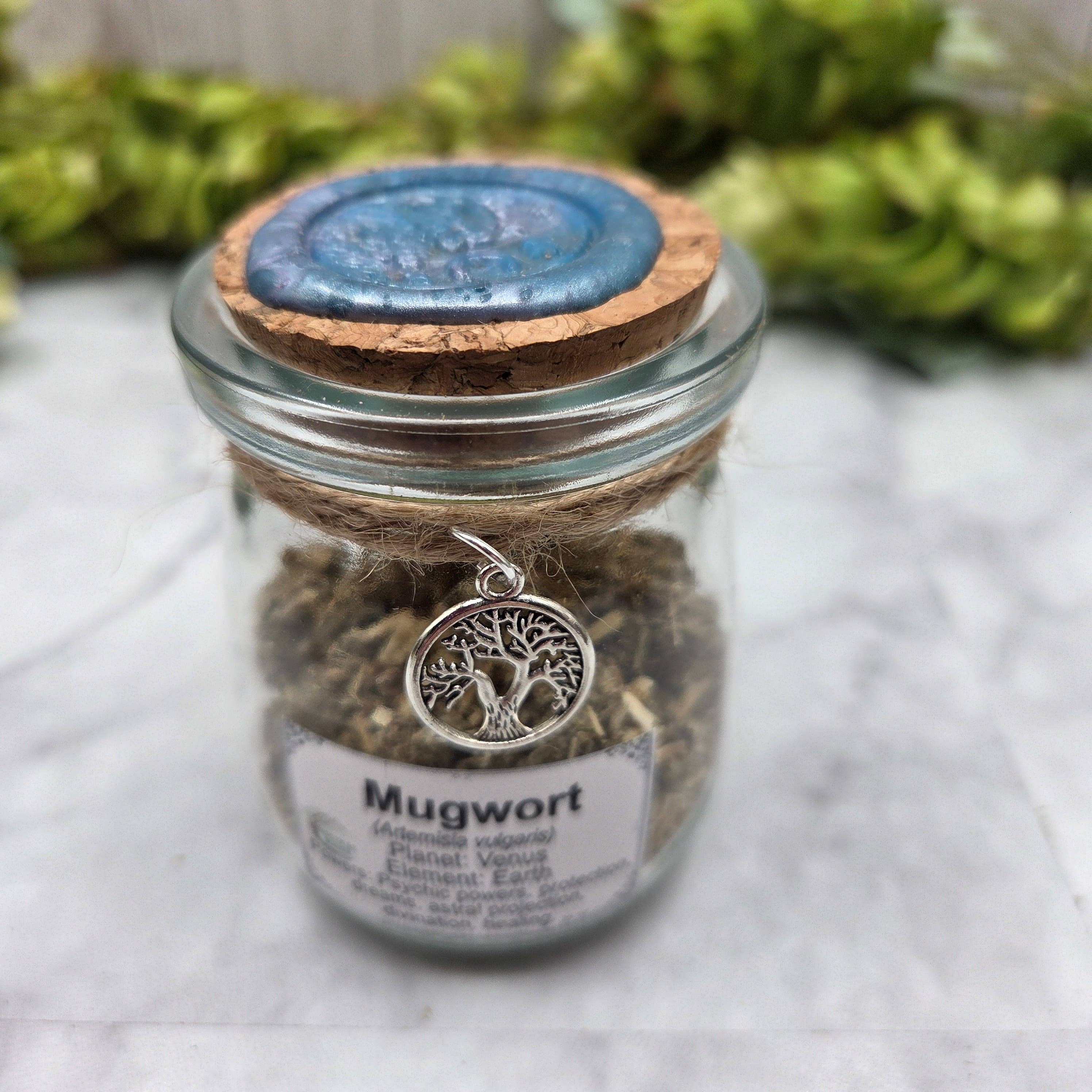Dried Mugwort in Apothecary Herb Jar