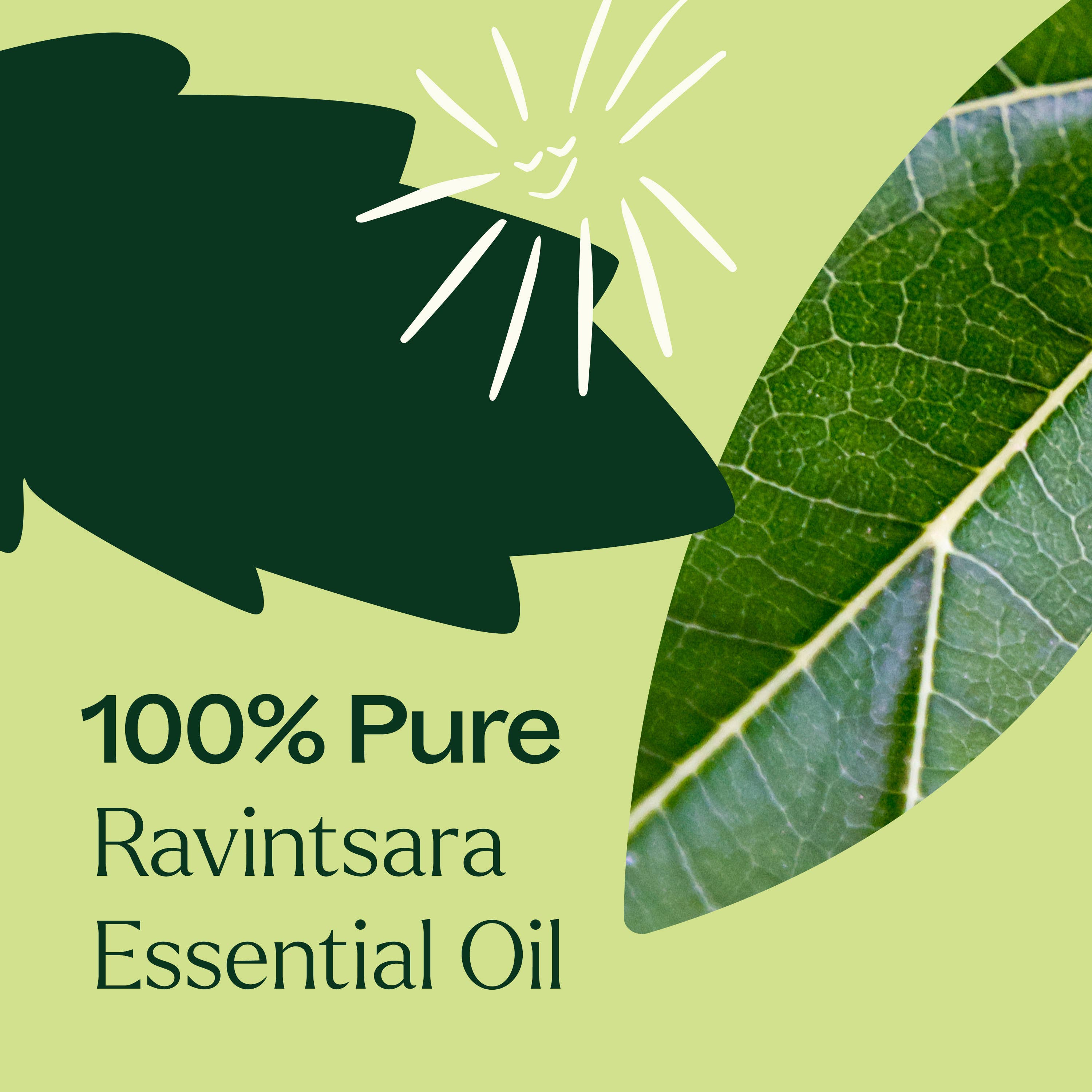 Ravintsara Essential Oil 10 mL