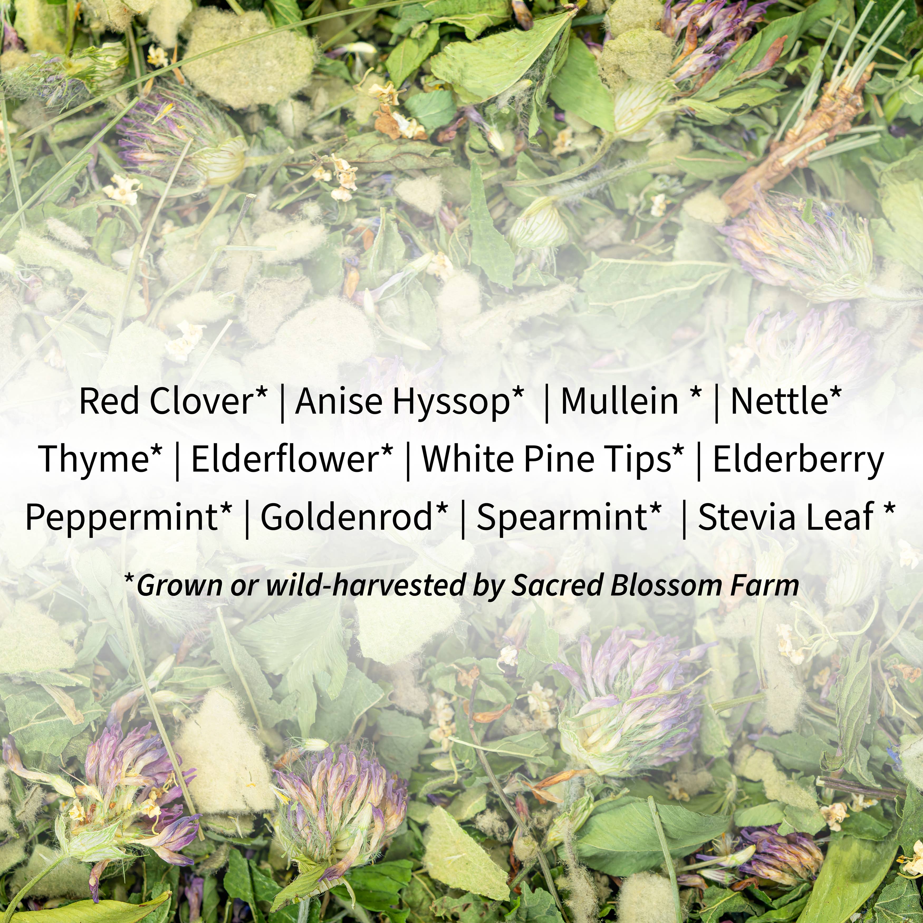 Herbal Tea Blend, Breathe, Supports Sinus and Allergy Relief