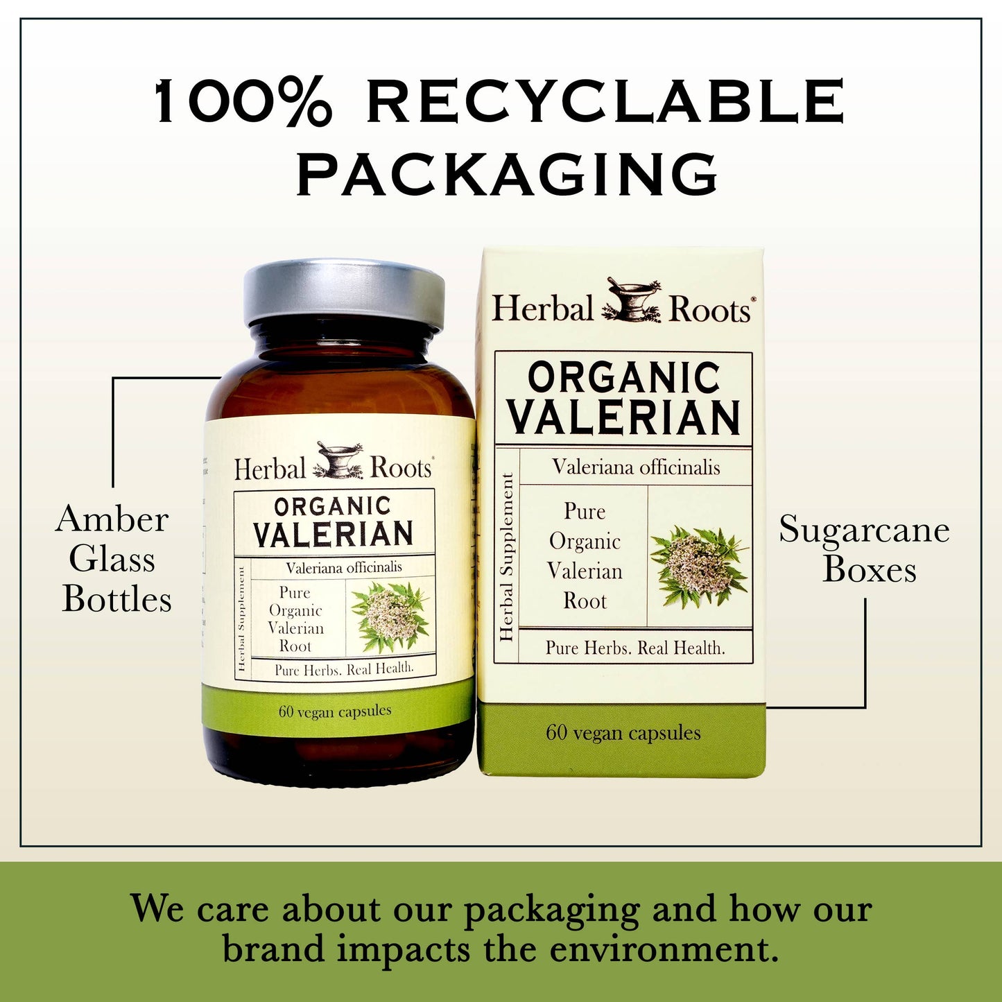 Valerian Root Capsules (Organic)