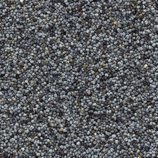 Organic Whole Poppy Seed (4 oz)
