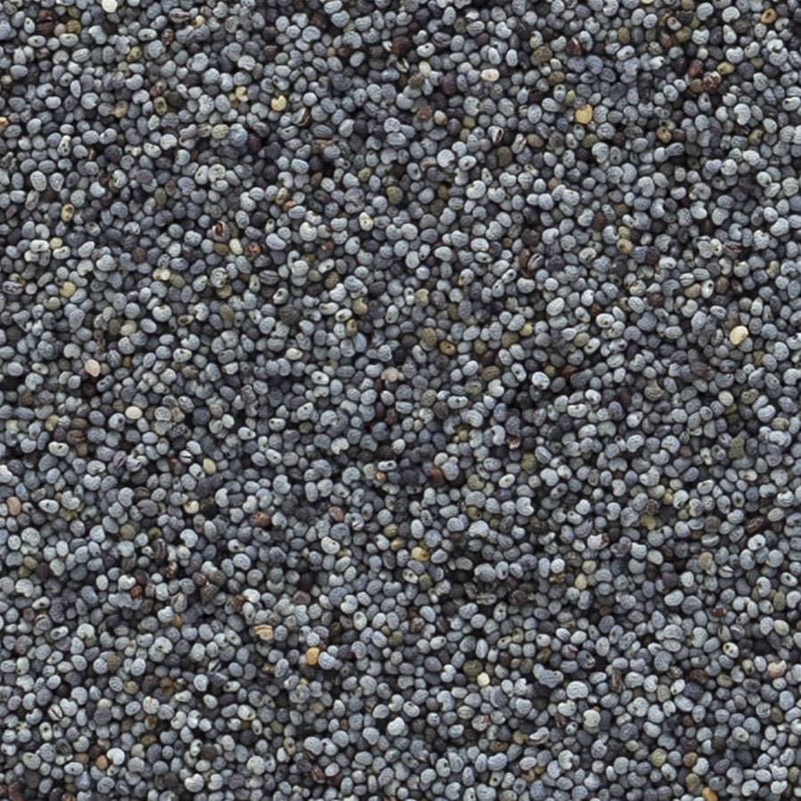 Organic Whole Poppy Seed (4 oz)