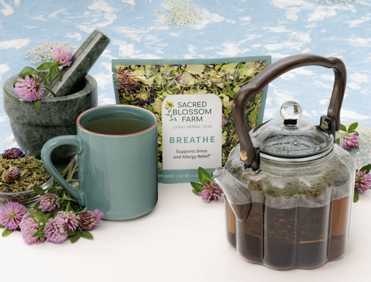 Breathe Tea - Loose Tea Blend (Supports Sinus & Allergy Relief)