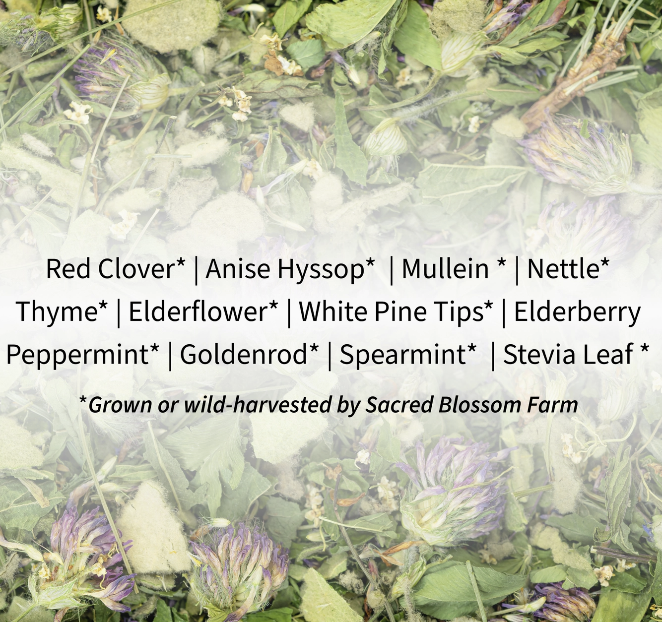Breathe Tea - Loose Tea Blend (Supports Sinus & Allergy Relief)