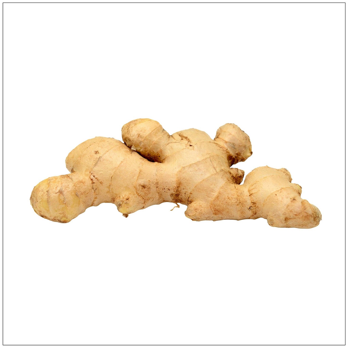 Dried Ginger Root (3 oz)