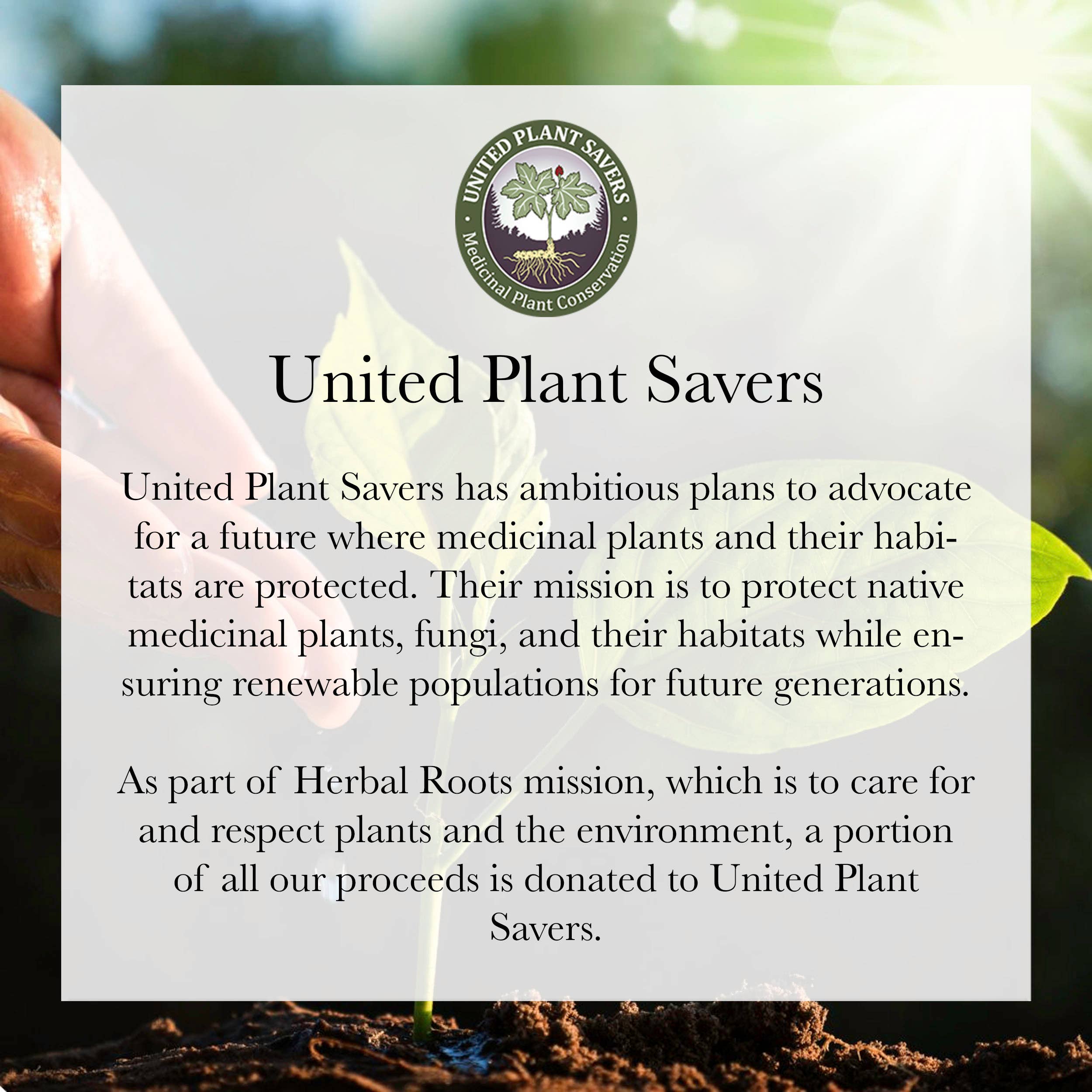 Valerian Root Capsules (Organic)