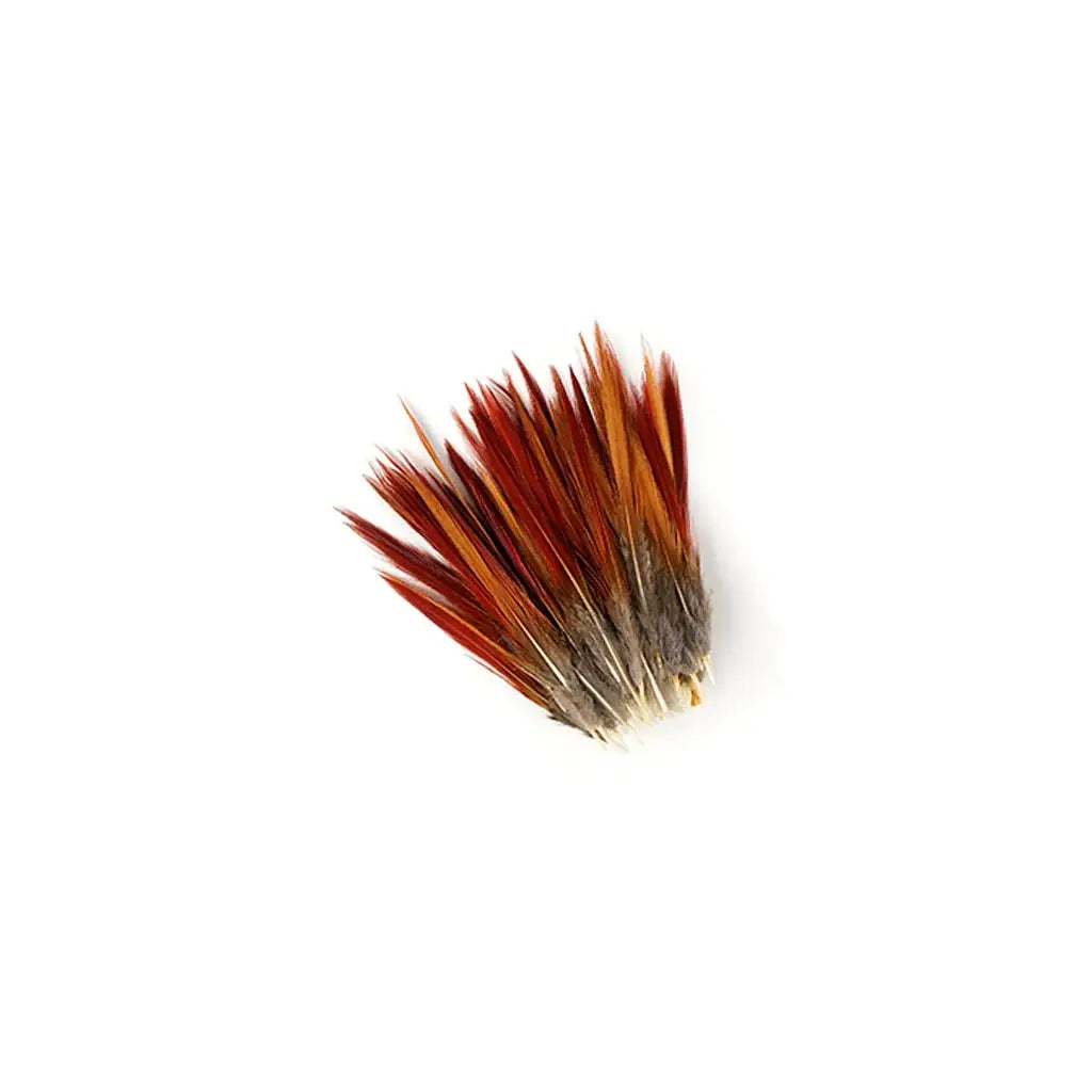 Golden Pheasant Red Top Tail (4 inches)