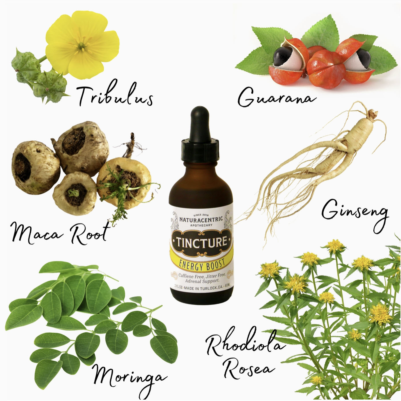Energy Boost Tincture (Caffeine Free) - With Ginseng & Maca