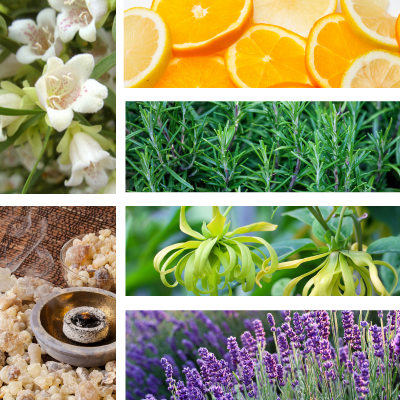 Essential Oil Blend (Daily OM) - Formulated for Meditation and Yoga Aromatherapy