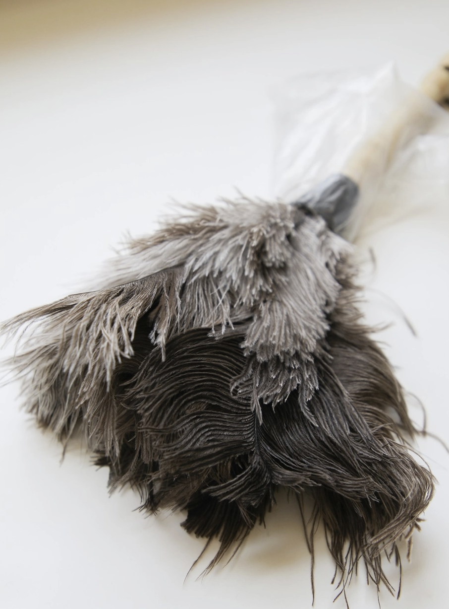 Natural Ostrich Feather Duster