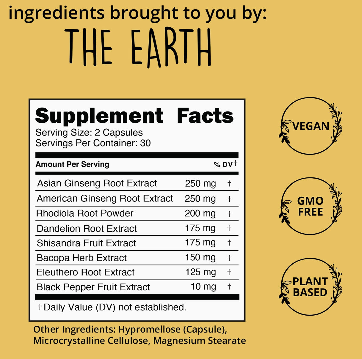Ginseng Energy Supplement - Pick Me Up