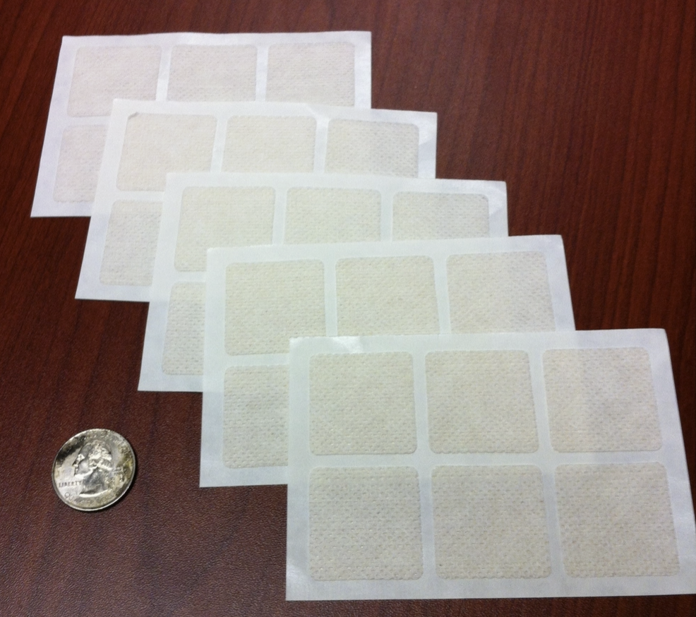 Weight Control Patch (Made w/Hoodia) - Time Released for Maximum Results (30 patches)