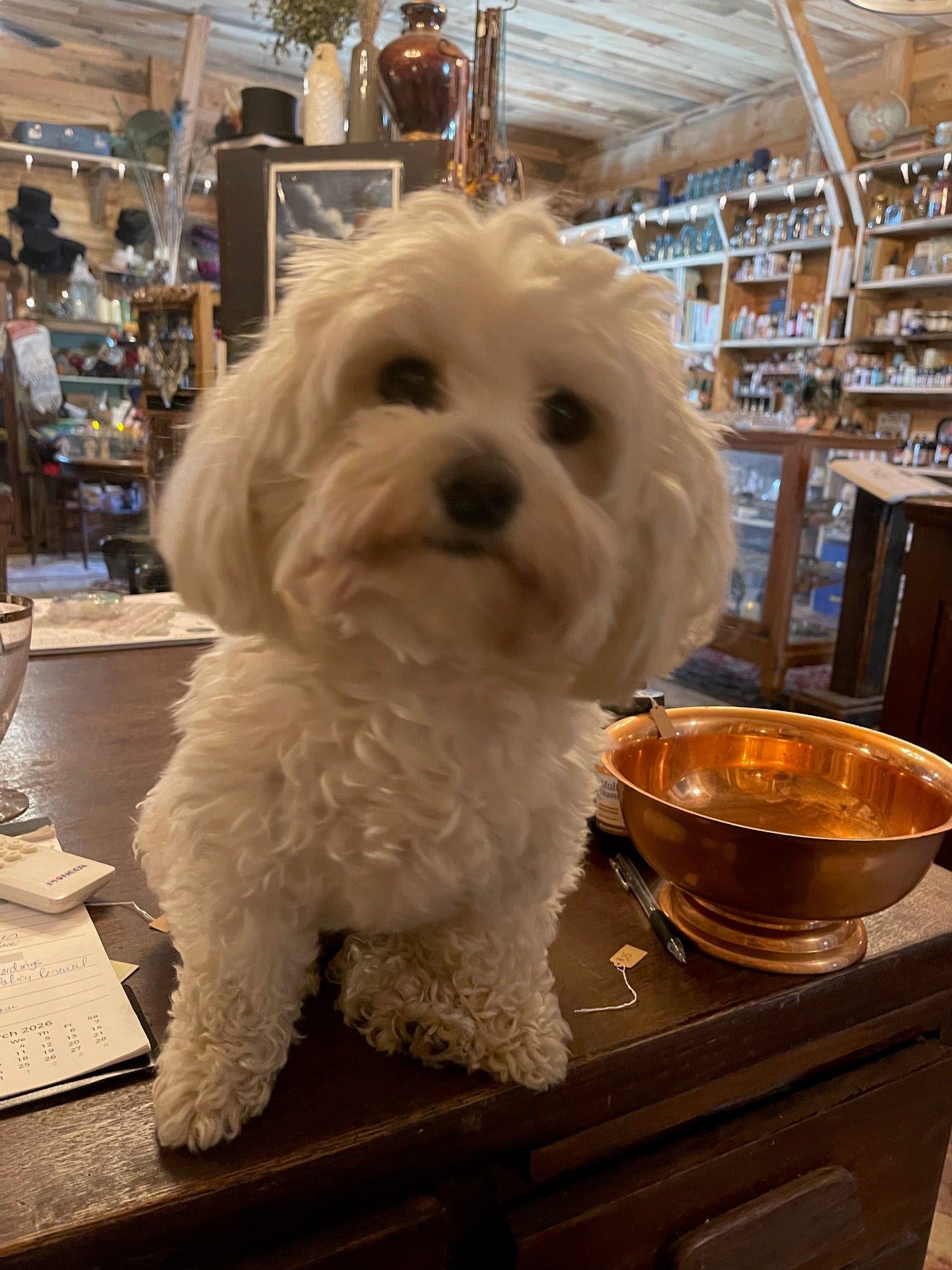 The Comings & Goings at Townsend Draft