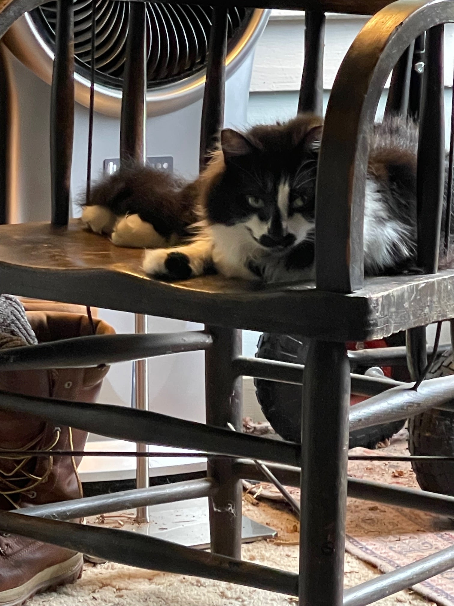 What's been happening at Townsend Draft Goods - June 28