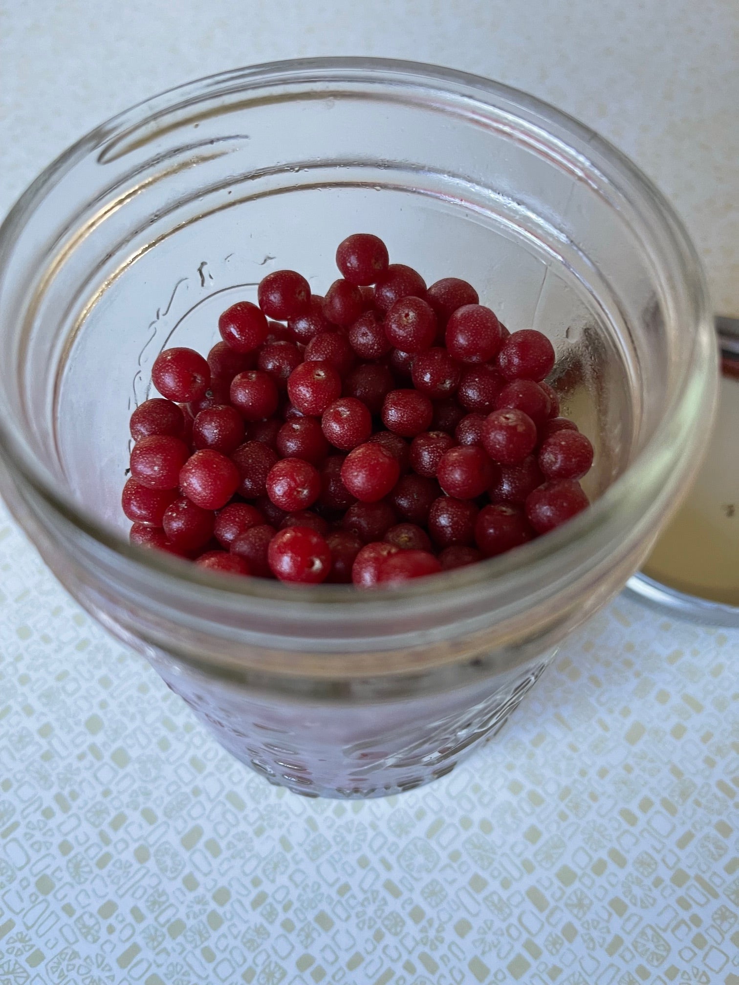 The Folk Wisdom of Autumn Berries