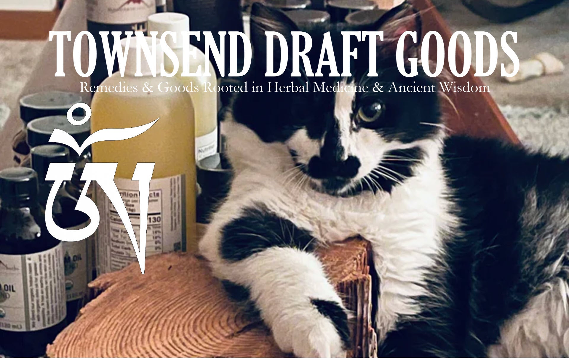 Our Newsletter for 5/14/26 - New arrivals, ancient wisdom!