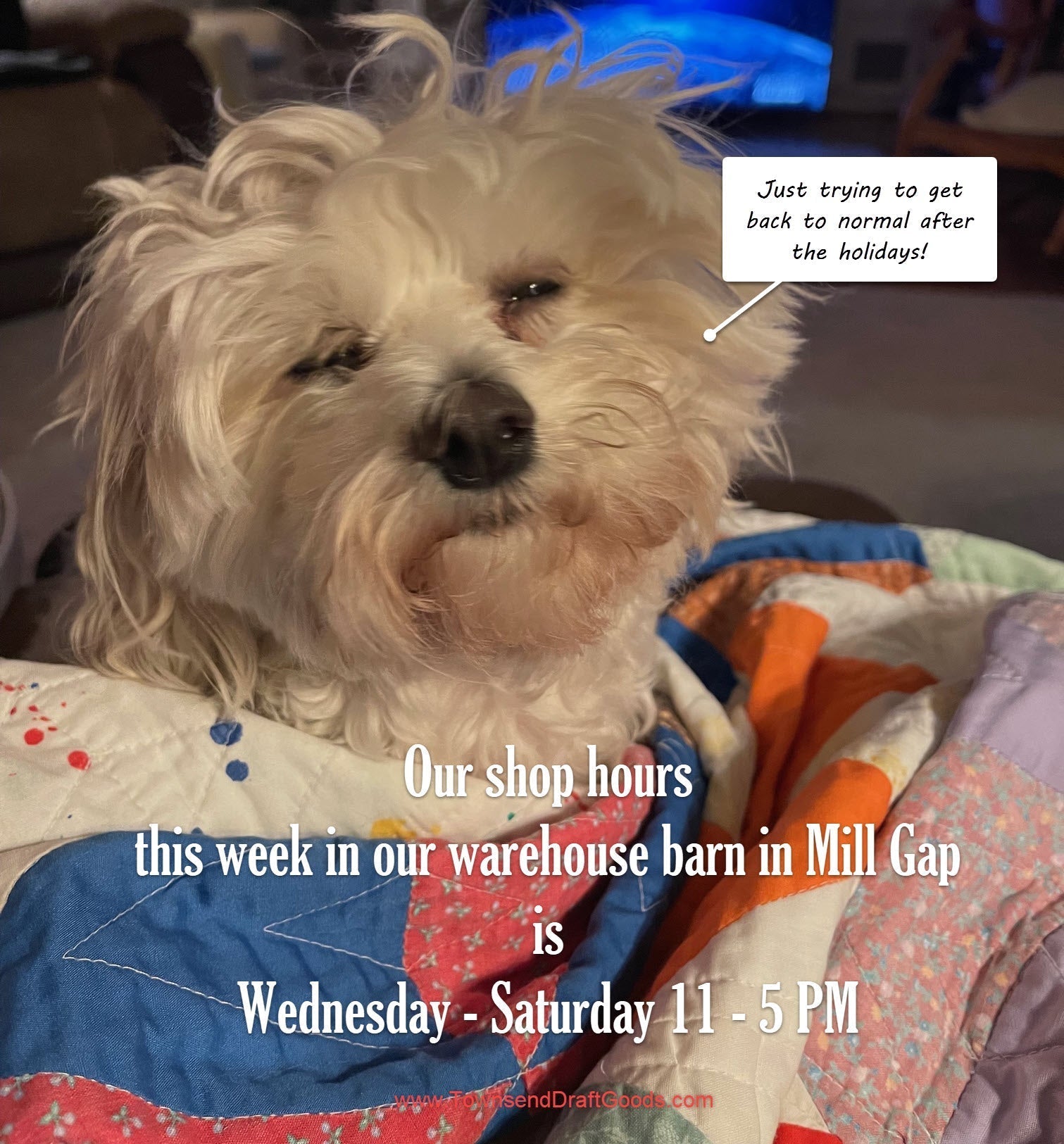 Happenings this week at Townsend Draft Goods! Shop is open Wed - Sat 11 - 5 PM