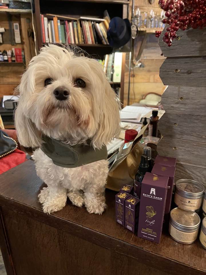 We will be open Monday & Tuesday, December 22 - 23!