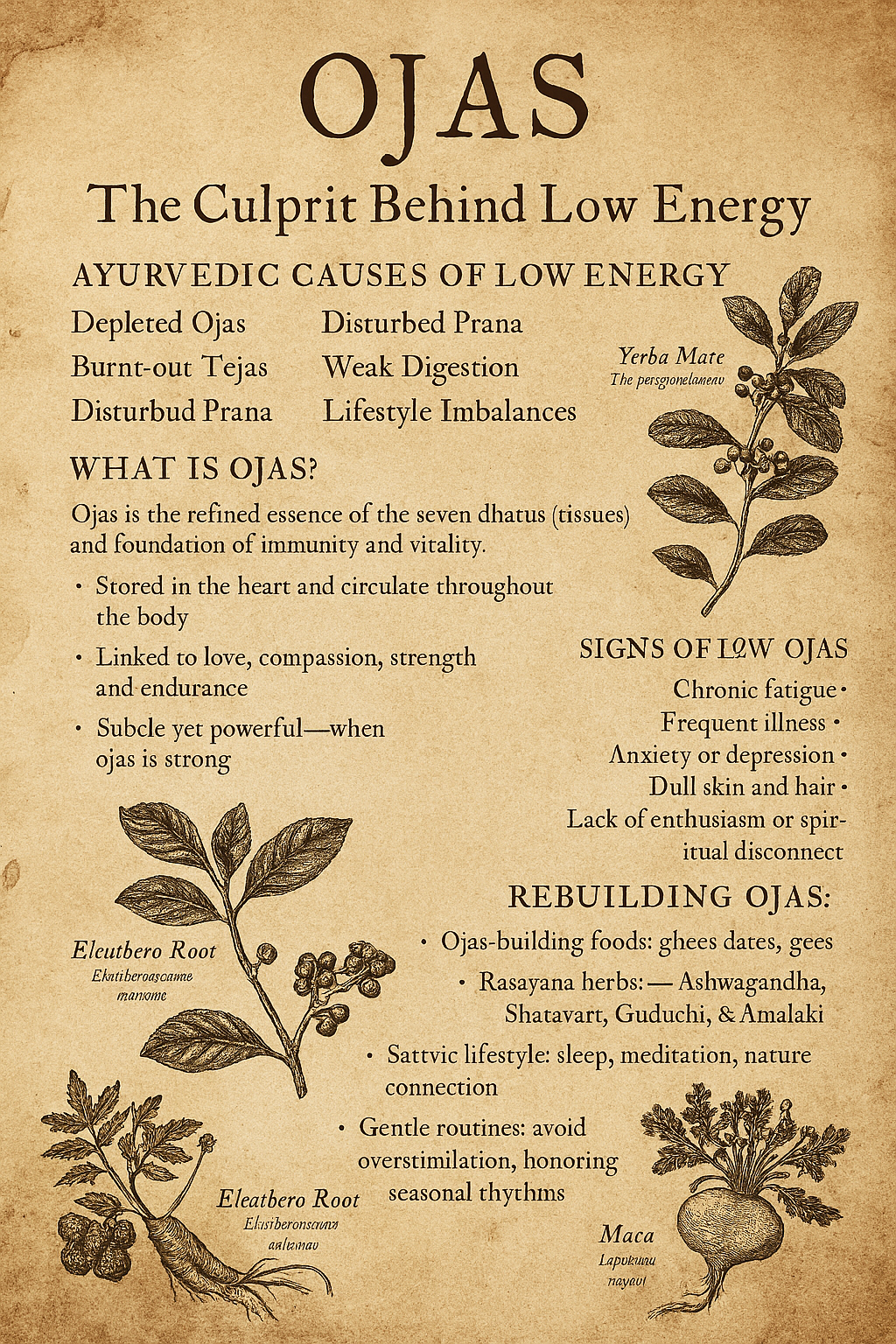 Energy in Ancient Medicine - Ojas & Vitality