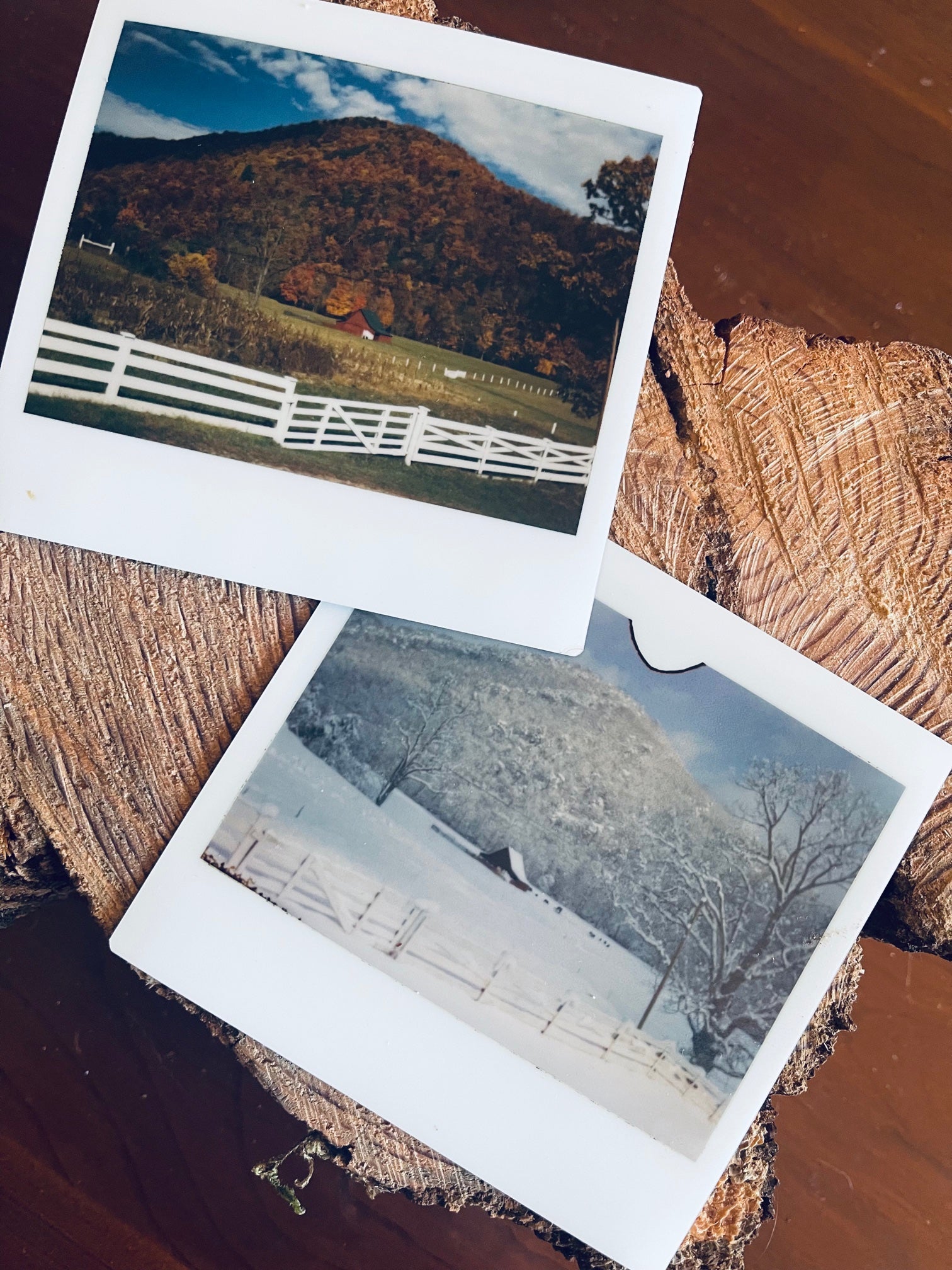 Secret Finds or Rare Vintage