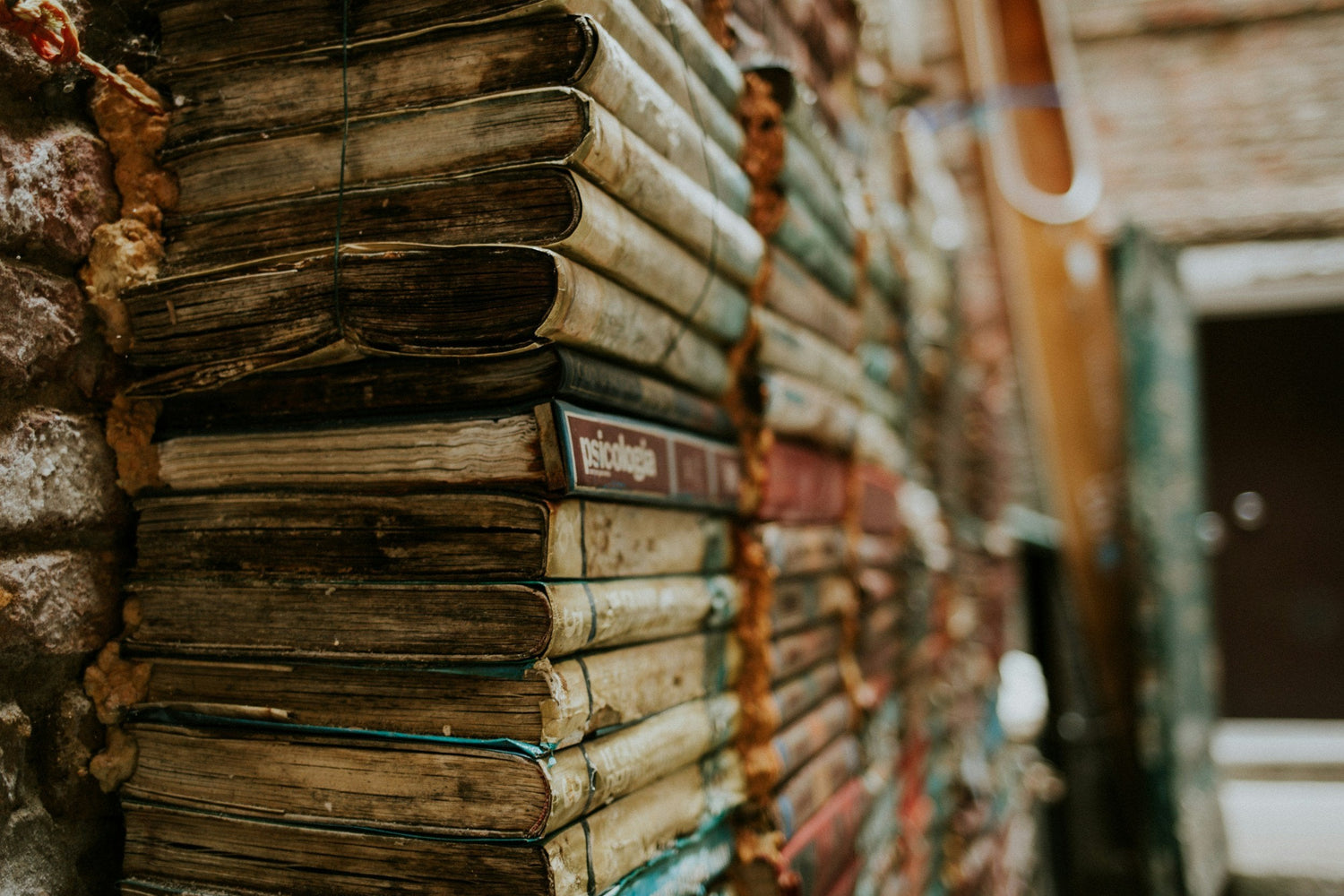 Books, Journals, & Cards