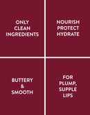 Organic Ghee Lip Balm - Chai Flavor