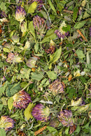 Immunity Herbal Tea