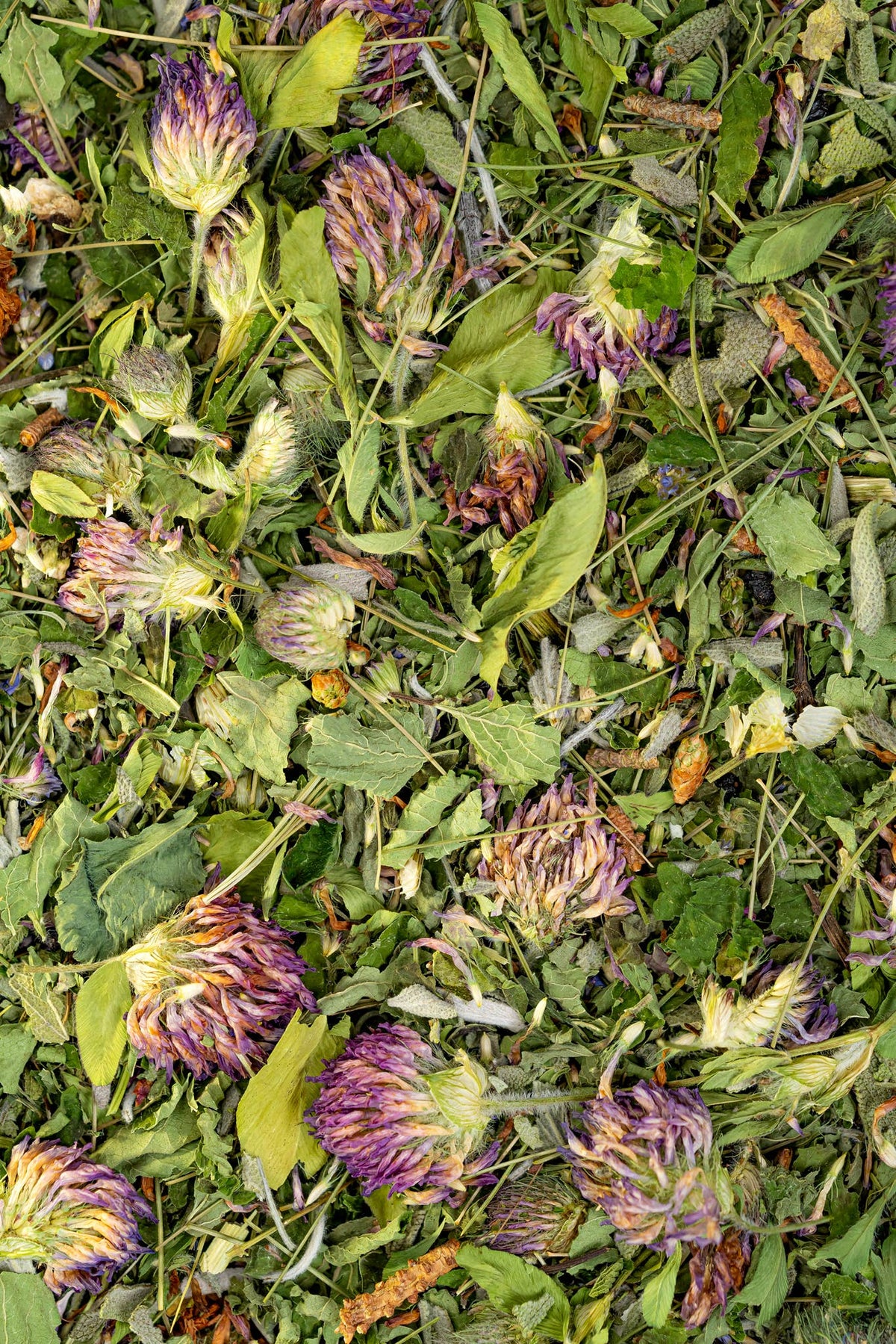 Immunity Herbal Tea