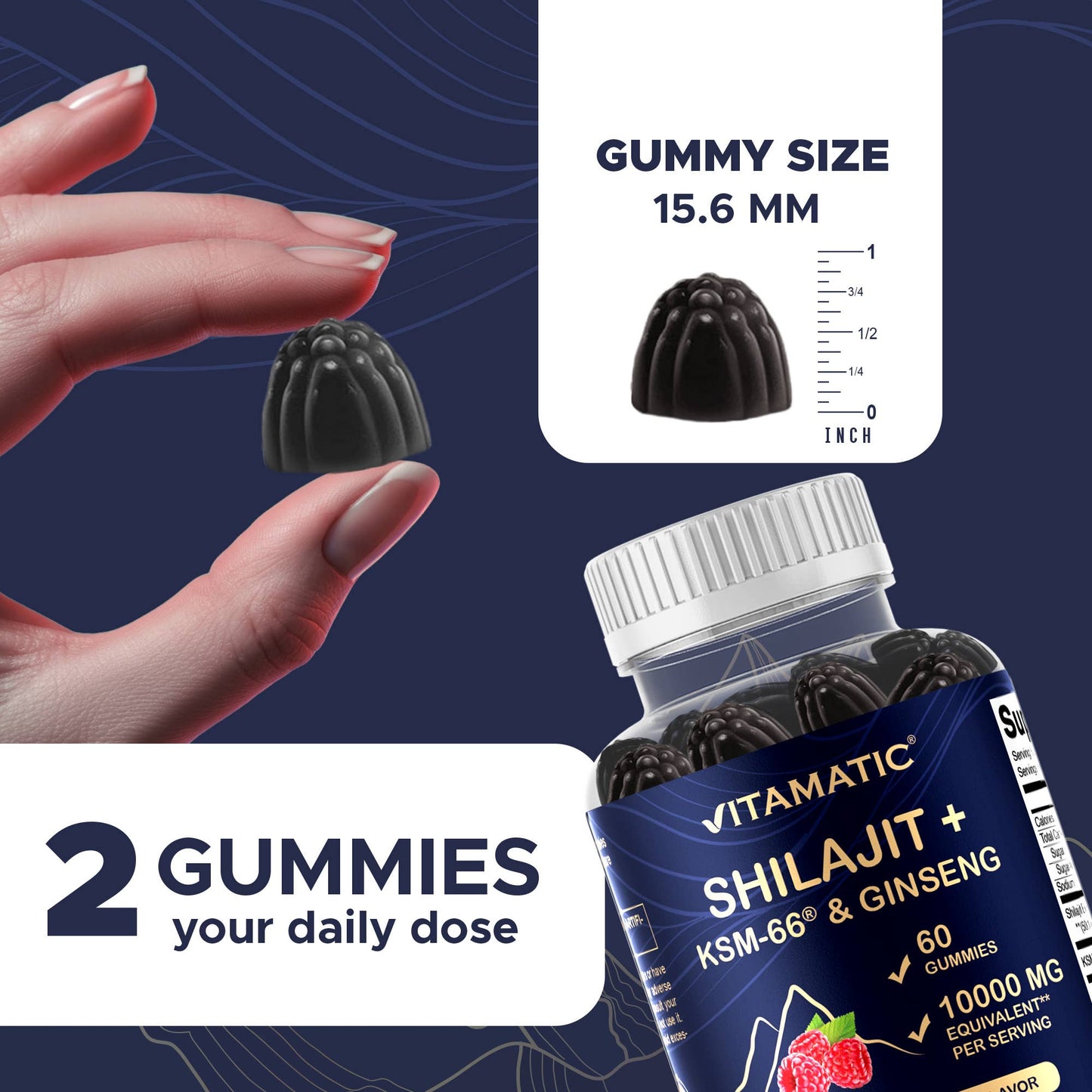 Shilajit with KSM-66® Ashwagandha & Ginseng (60 Gummies)