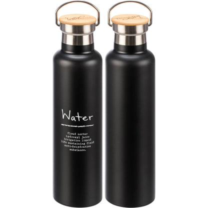 Stainless Steel Insulated Water Bottle