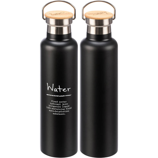 Stainless Steel Insulated Water Bottle