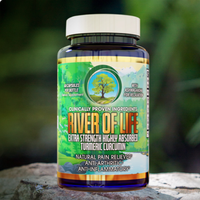 River Of Life-Highly Absorbed Turmeric Curcumin (60 caps)