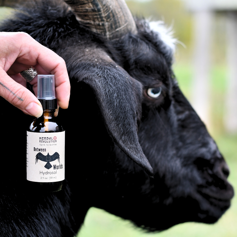 Copper-distilled Hydrosol Spray for Protection & Grounding (2 fl oz)