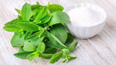 Dried Stevia leaves (1 oz)