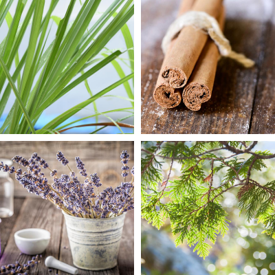Soothing Apothecary Body Oil - Formulated for Warmth, Repair, & Relief