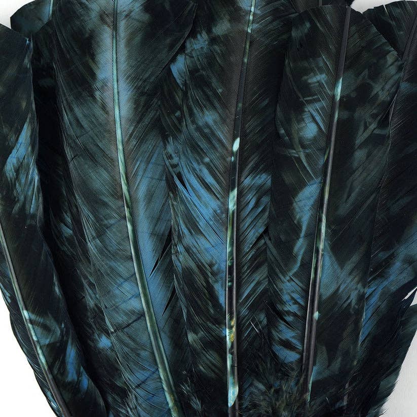 Custom Dyed Quill Feather, Ocean Blue & Black