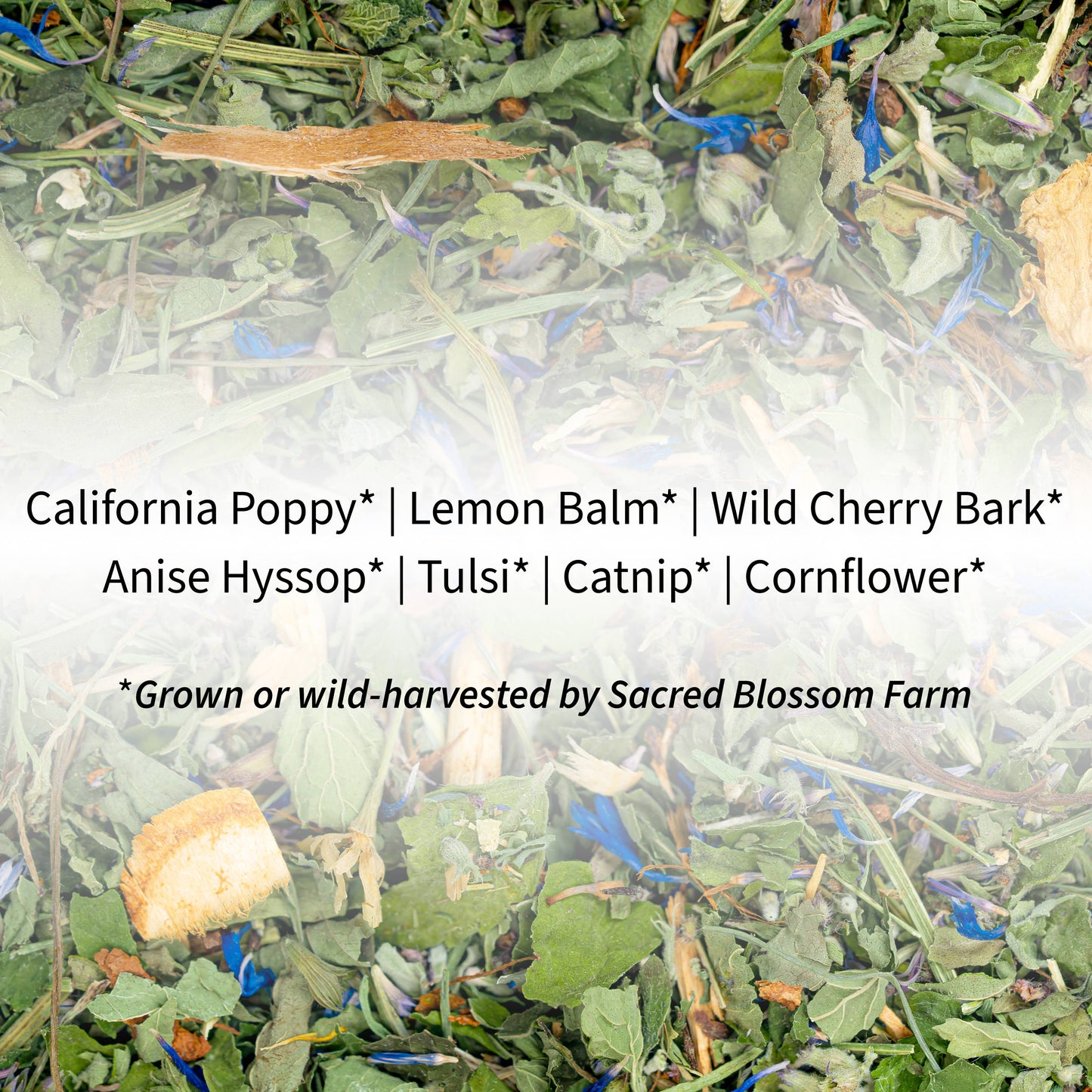 Herbal Tea Blend, Dream (Promotes Sleep)