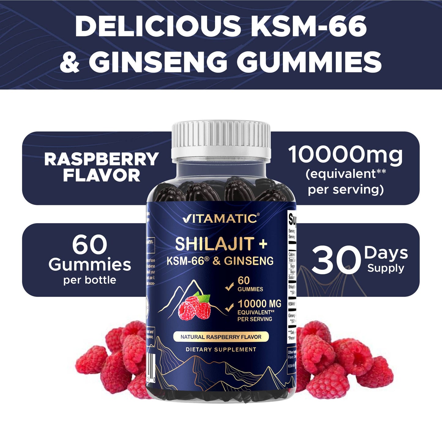 Shilajit with KSM-66® Ashwagandha & Ginseng (60 Gummies)