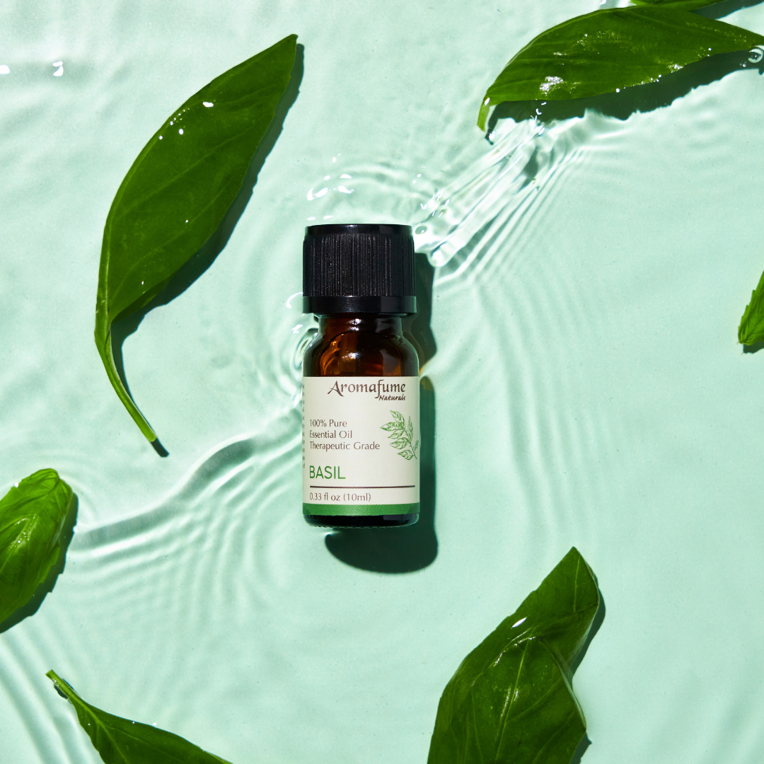 Basil Essential Oil | 100% Pure Aromatherapy Oil
